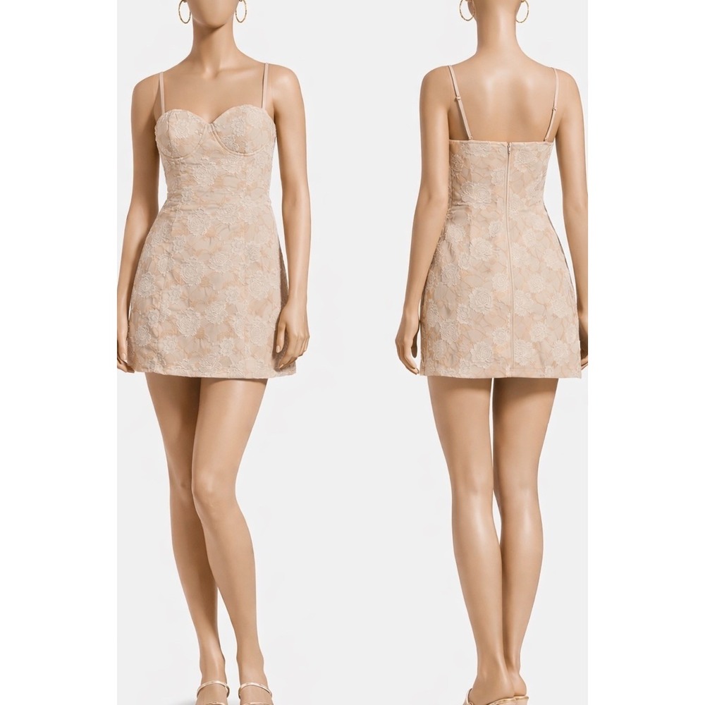 Windsor Gorgeous Charm Floral Jacquard Mini Dress Womens Medium Taupe Sweetheart